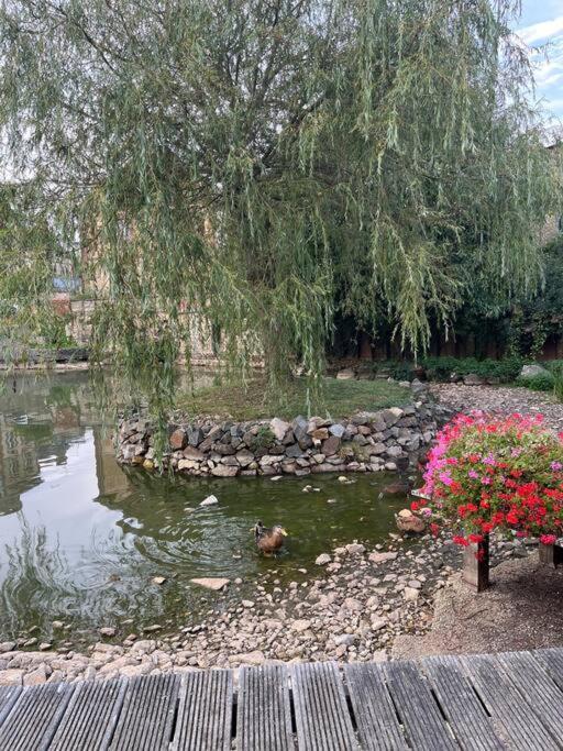 Saint-Martin-des-Pezerits La Maison Du Perche Avec Jacuzzi מראה חיצוני תמונה